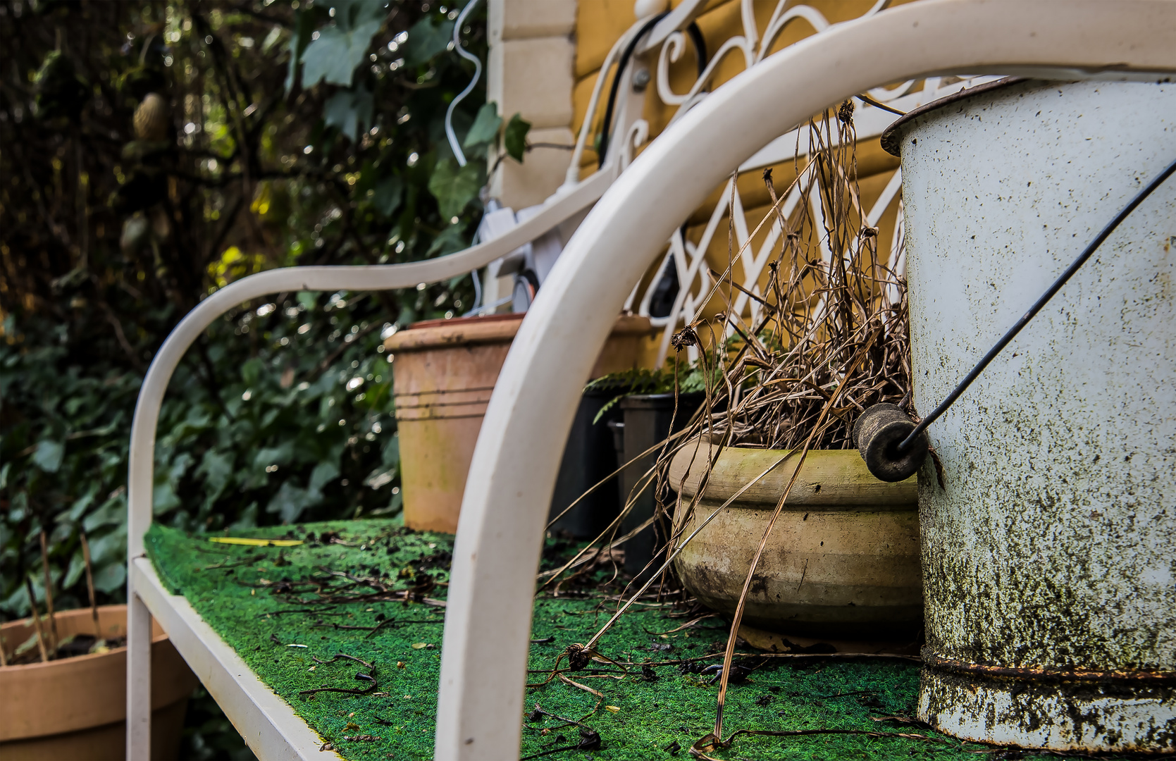 Die Gartenbank ist leider schon besetzt