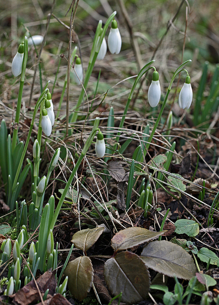 Die Gartensaison 2016 ist eröffnet!