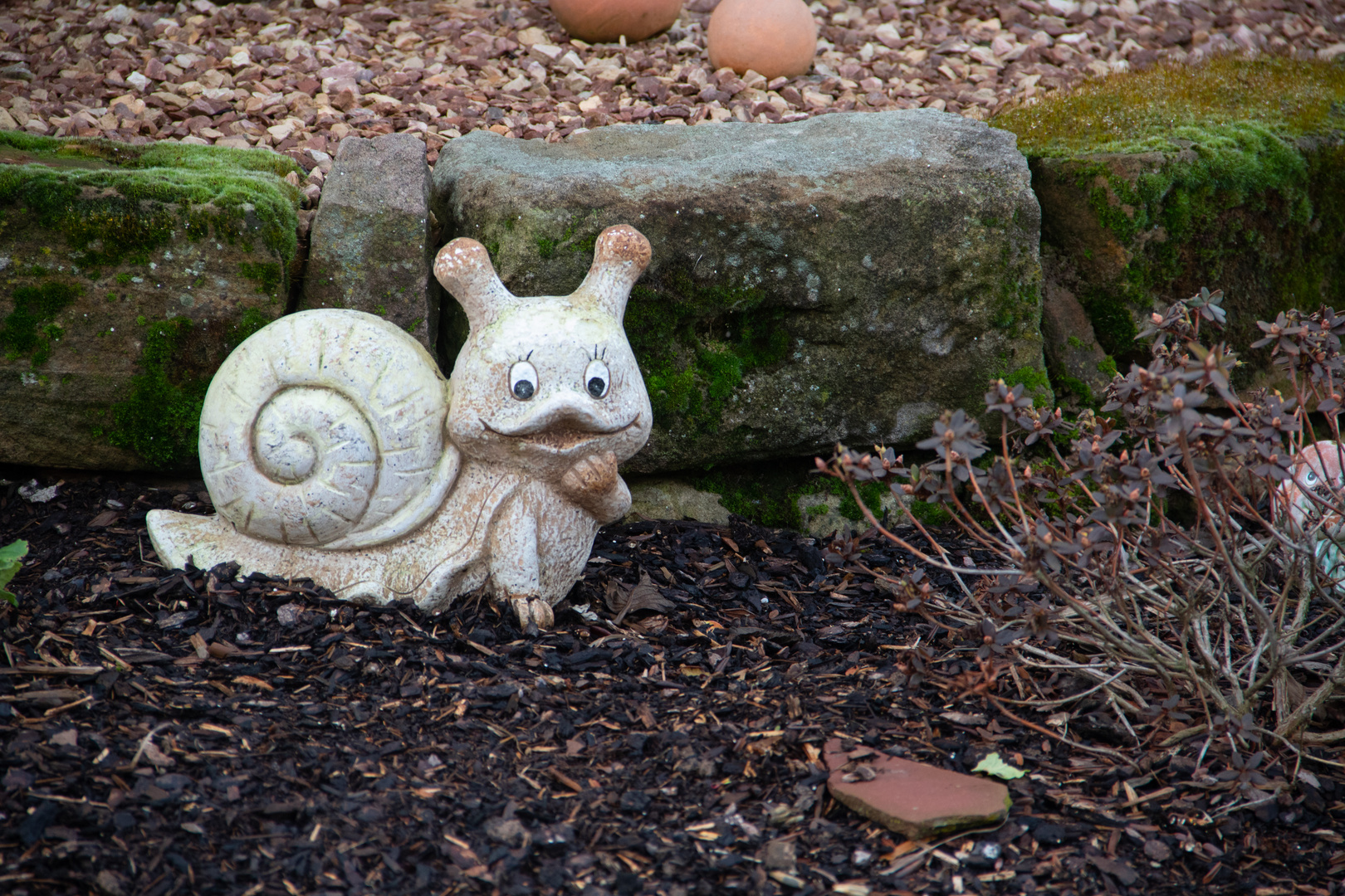 Die Gartenschnecke 