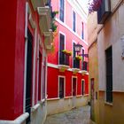 Die Gasse der Colores