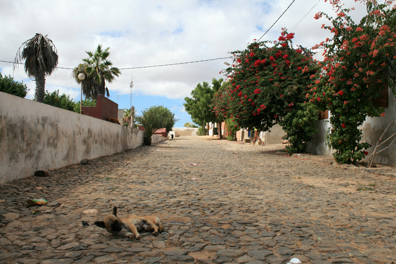 [ die gasse ]