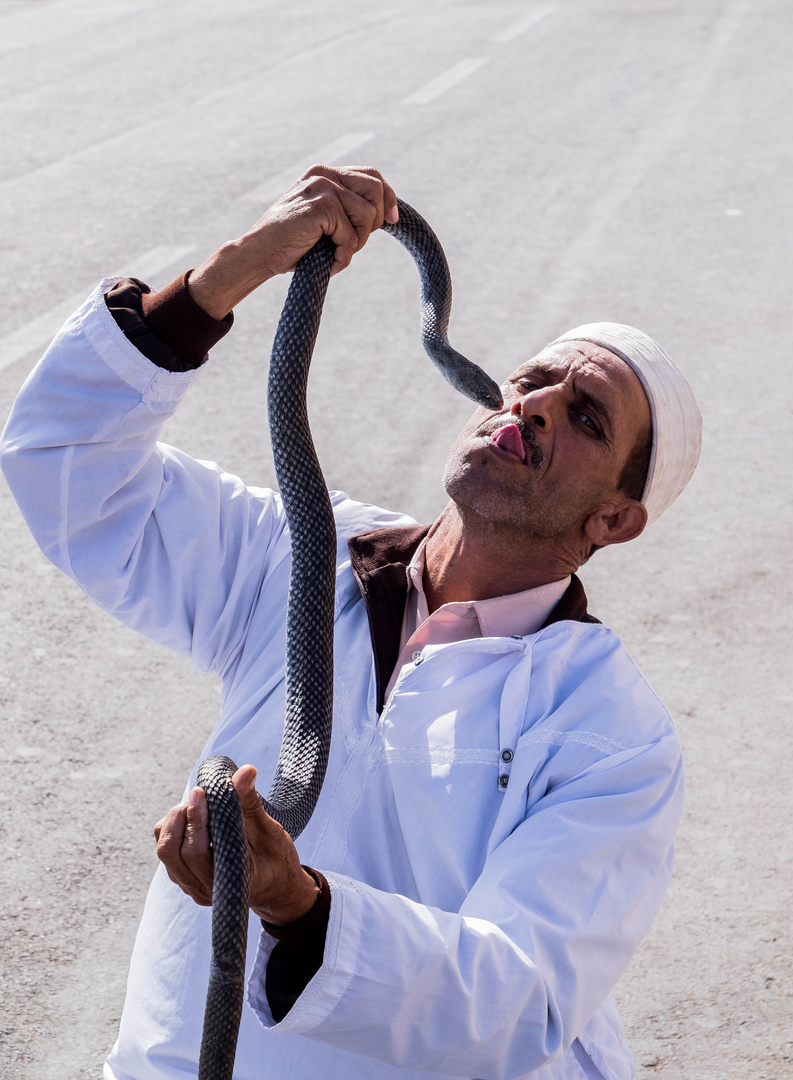 Die Gaukler von Agadir