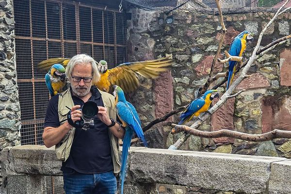 Die Gauner haben wieder alles verstellt...