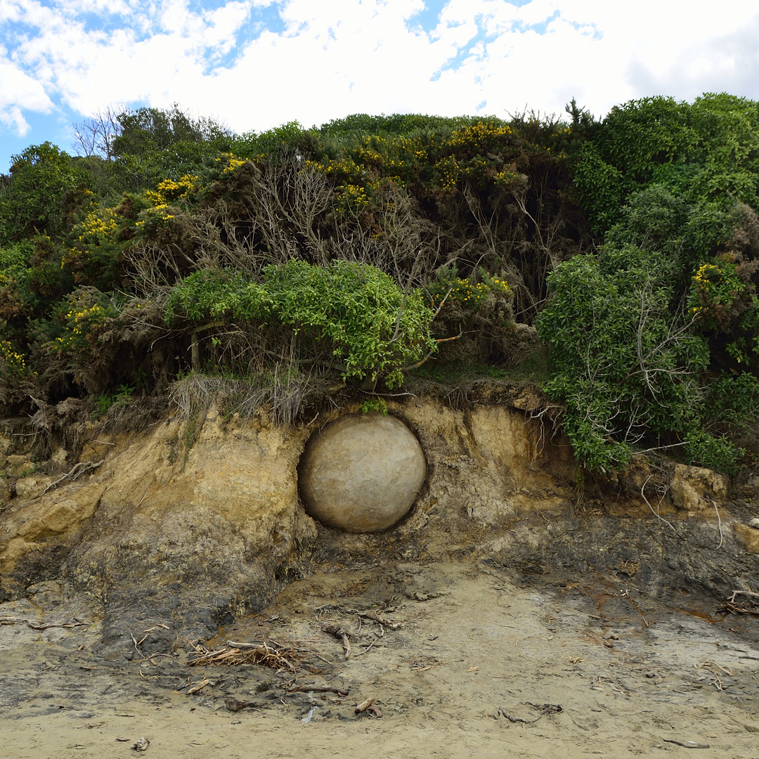 Die Geburt eines Moeraki Boulder