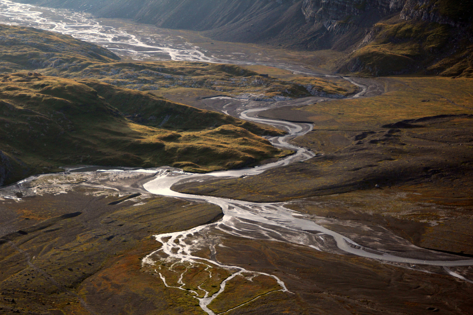 Die Gefäße der Alpen 