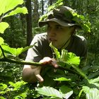 Die Gefahr aus dem Wald