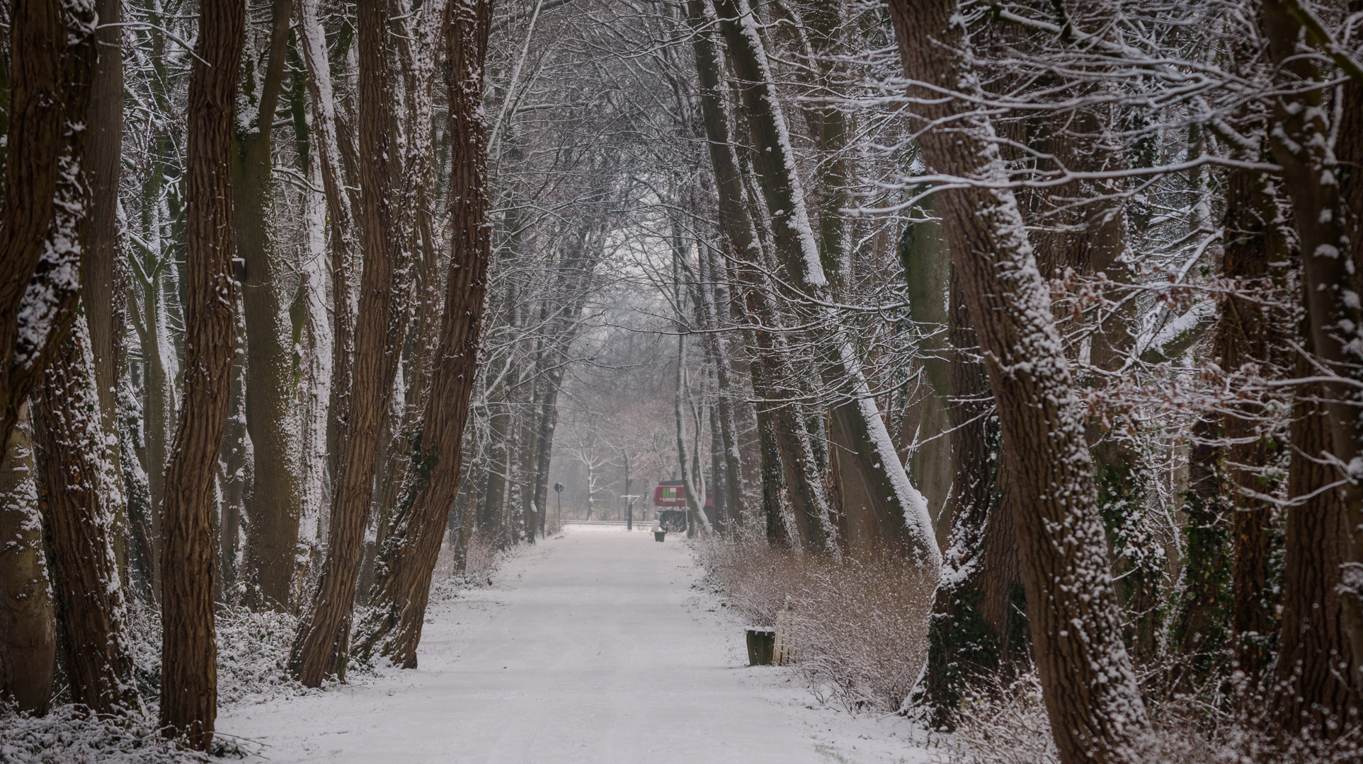 Die gefrorene Allee