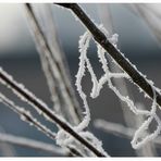 die gefürchtete Eisschlange