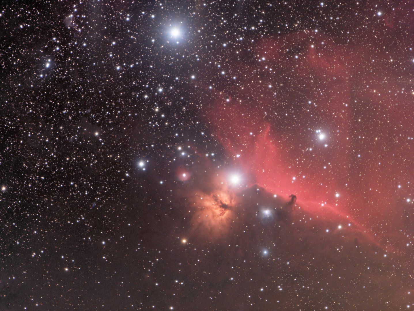 Die Gegend um den Pferdekopfnebel im Sternbild Orion