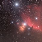 Die Gegend um den Pferdekopfnebel im Sternbild Orion