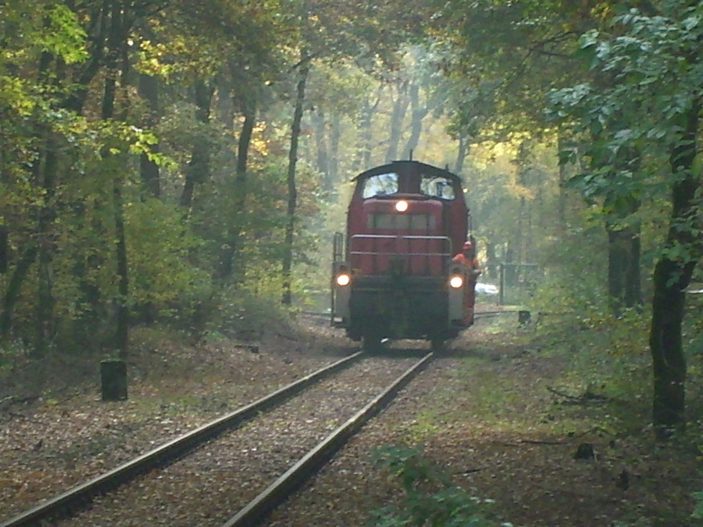 Die geheime Lok an der geheimen Weiche im Wald