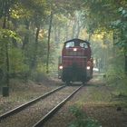 Die geheime Lok an der geheimen Weiche im Wald