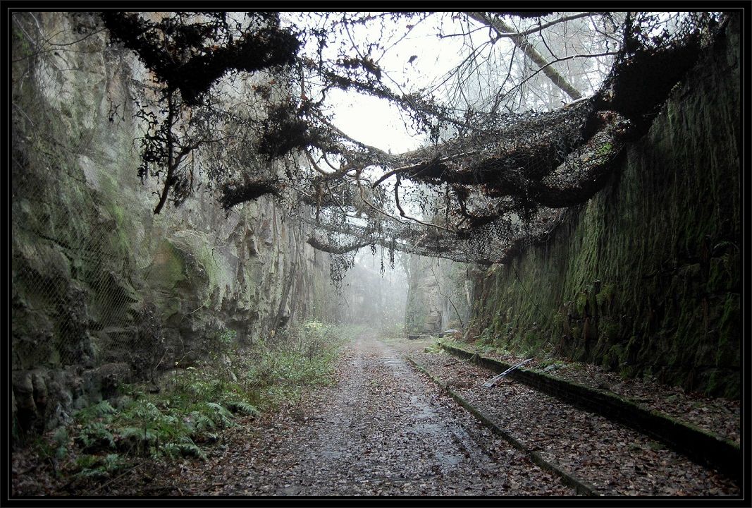 Die Geheimnisvolle Schlucht