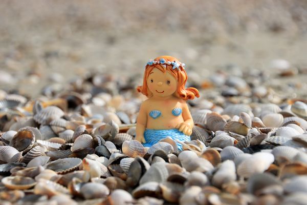 Die gehören alle mir.....