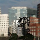 Die Gehry-Häuser im Medien-Hafen in Düsseldorf - mal anders...