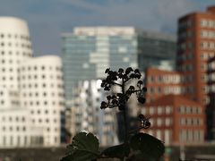 Die Gehry-Häuser im Medien-Hafen in Düsseldorf - mal anders...