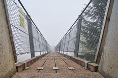 Die Geierlay-Brücke im Hunsrück