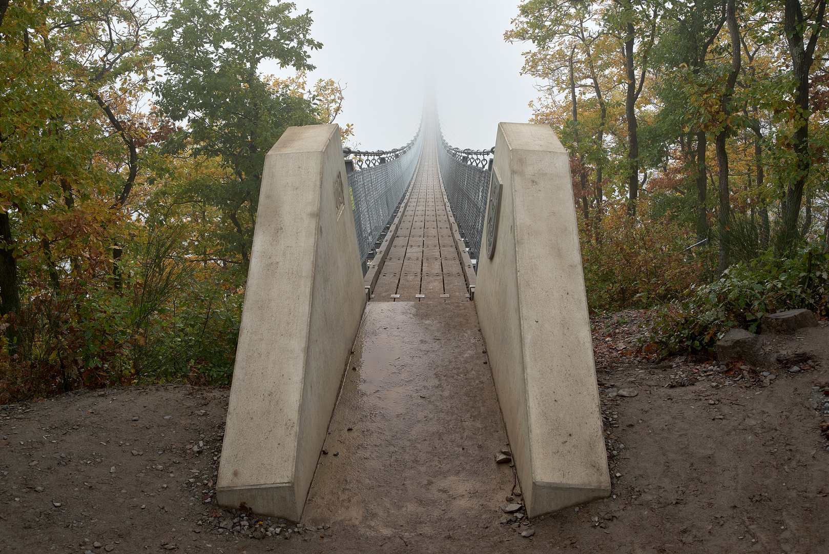 Die Geierlay-Brücke im Hunsrück