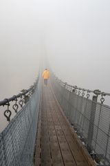 Die Geierlay-Brücke im Hunsrück