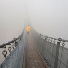 Die Geierlay-Brücke im Hunsrück