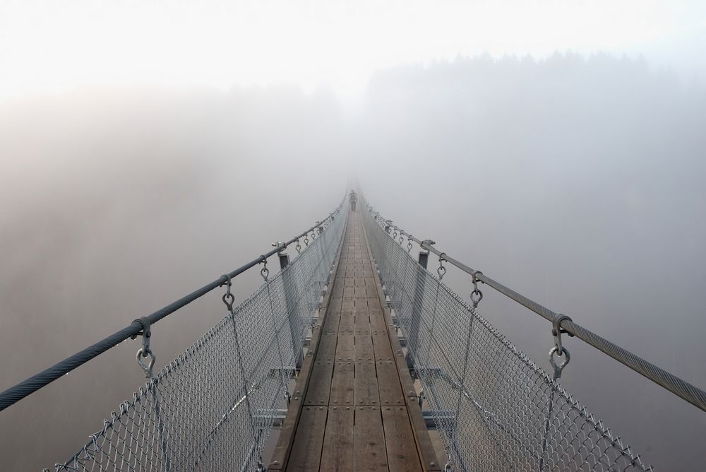 Die Geierlay-Brücke im Hunsrück