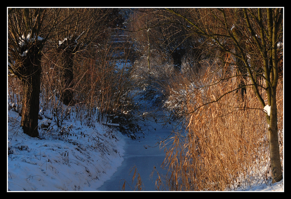 Die Geinegge im Winter *