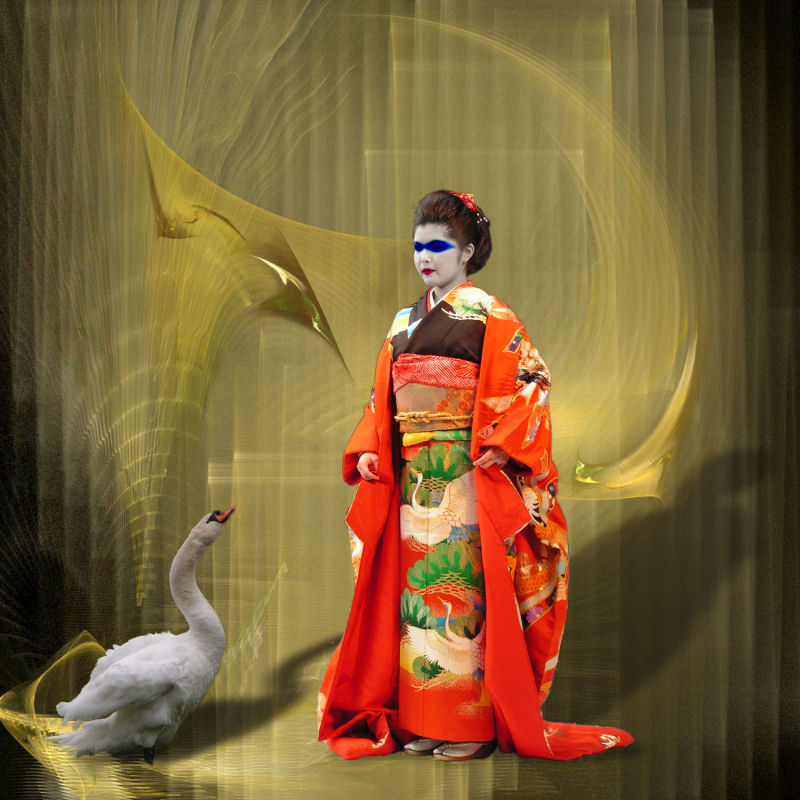 Die Geisha und der Schwan