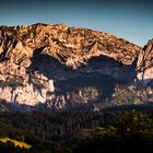 die Geiß aus Stein