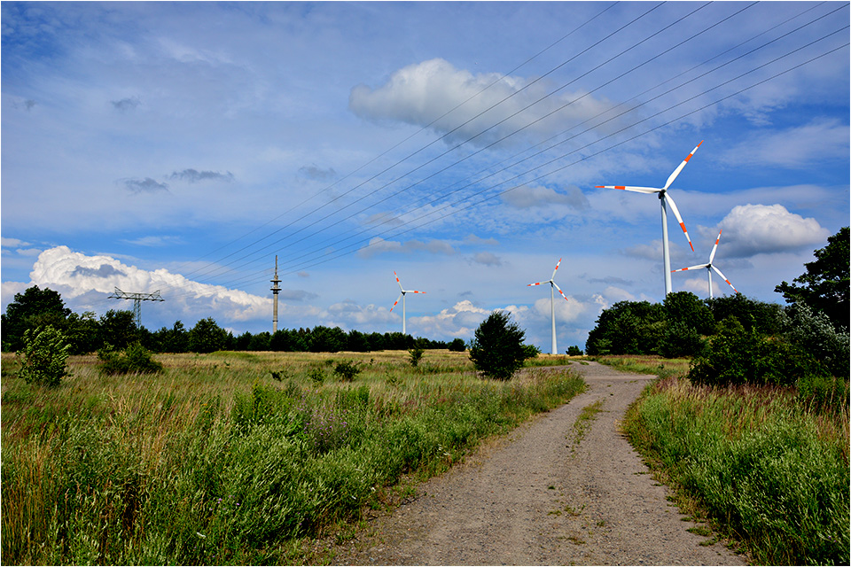 Die Geisseln der Landschaft