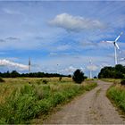 Die Geisseln der Landschaft