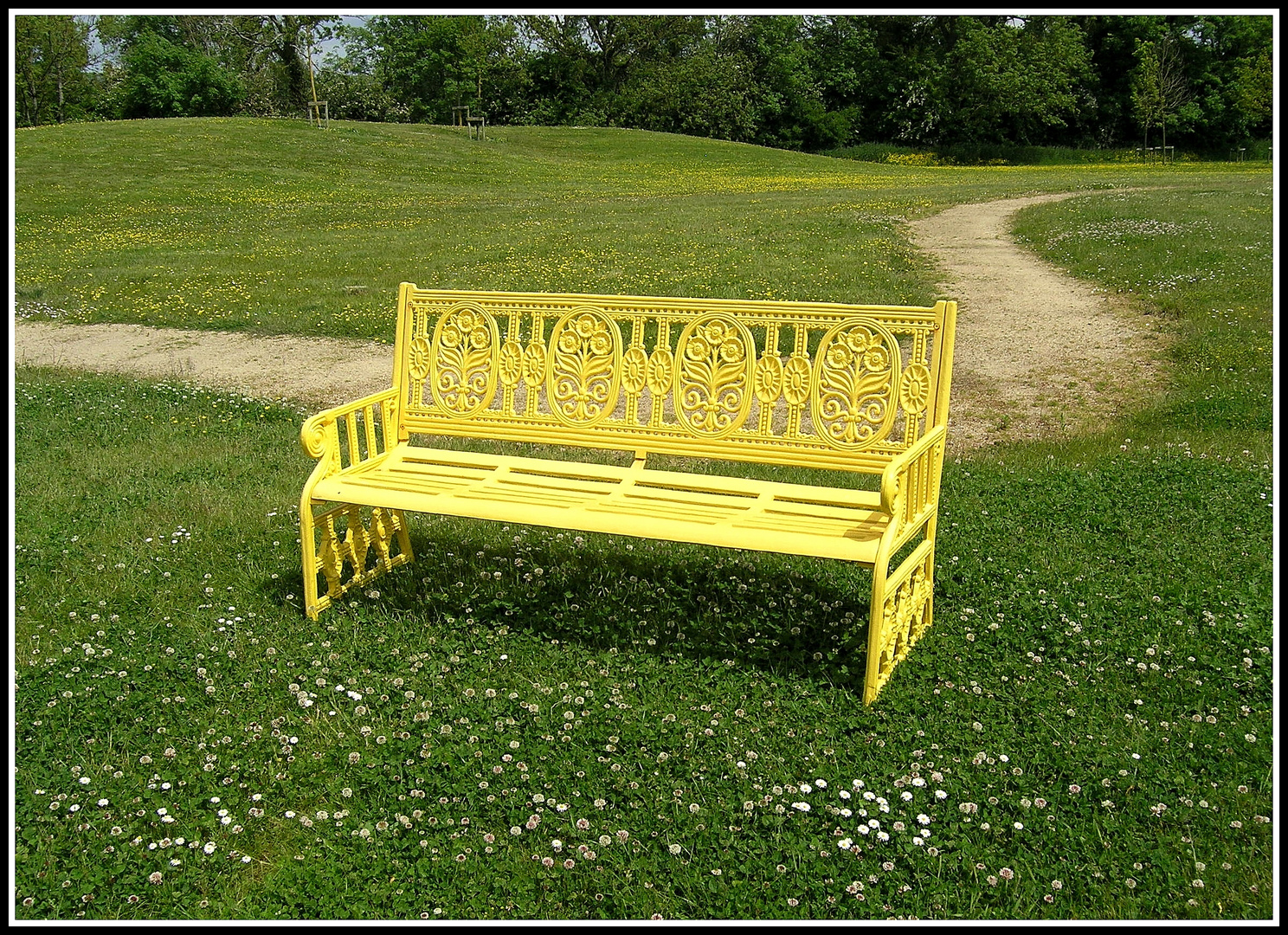 Die gelbe Bank auf der grünen Wiese