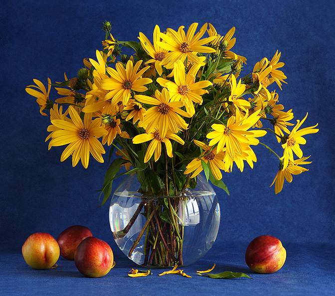 Die gelben Blumen mit Nektarinen