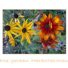 Die gelben Herbstblüten