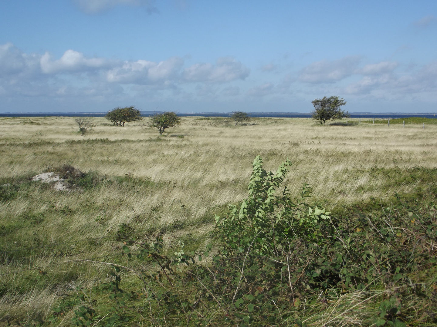 Die Geltinger Birk