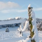 Die Gemeinde Hohenstein im Winterkleid