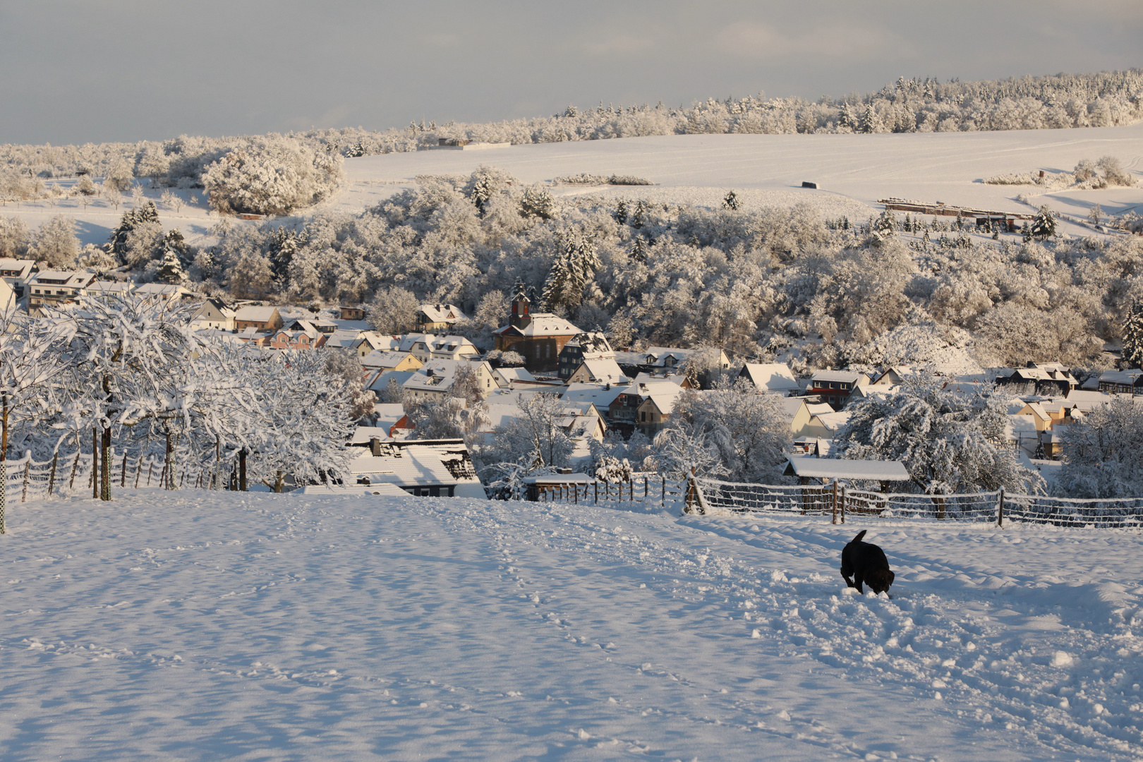 Die Gemeinde Hohenstein im Winterkleid