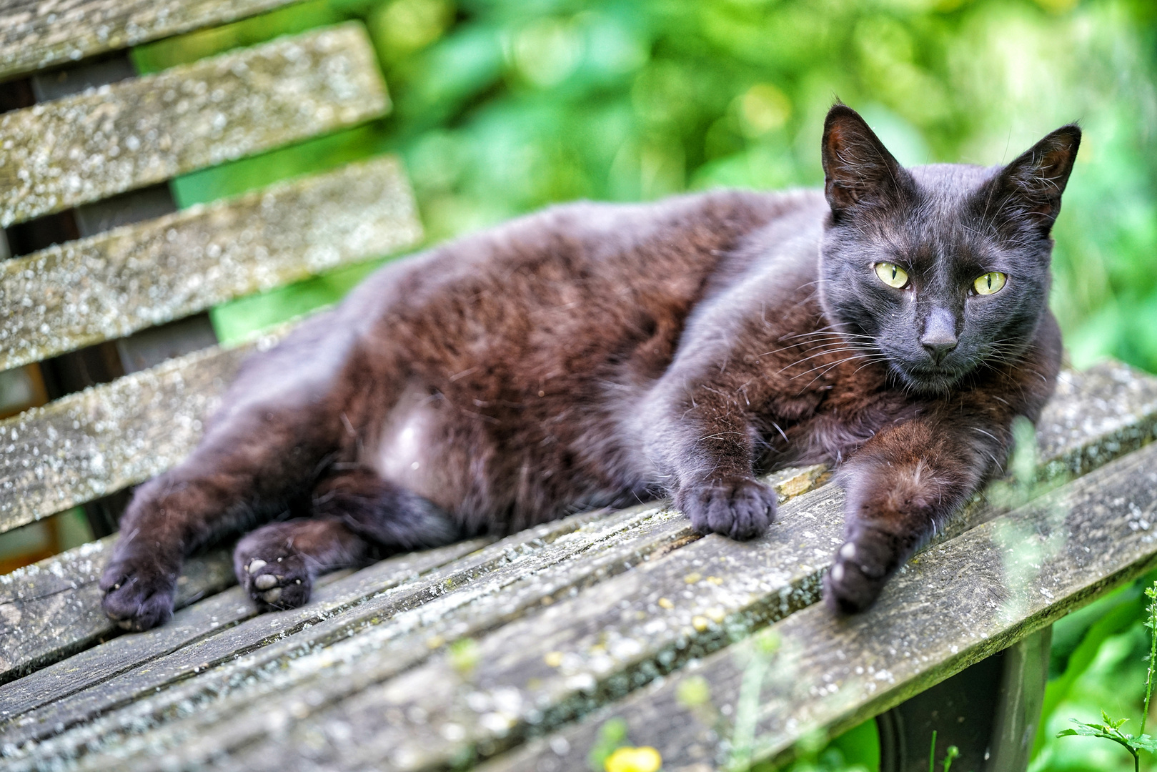 Die Gemütlichkeit des Sommers