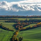 Die Geometrie einer Heckenlandschaft