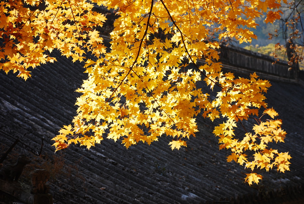 Die Geschichte von dem Fall von Peking