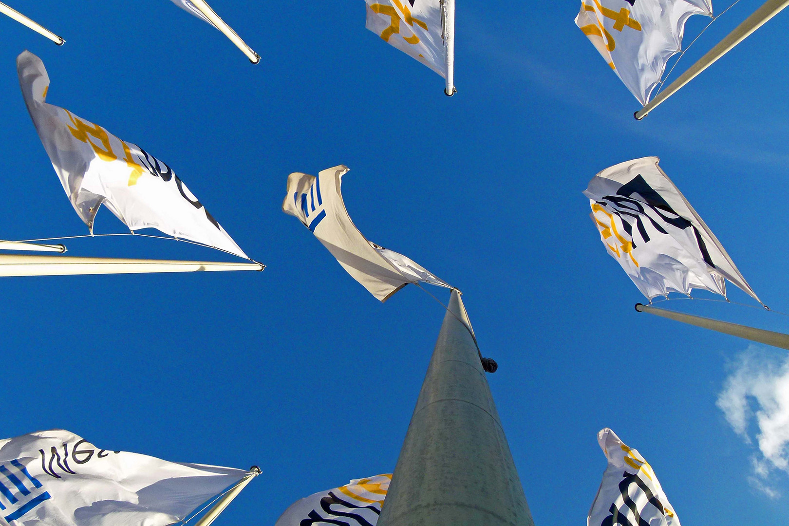 Die Geschichte von der Fahne und dem Wind