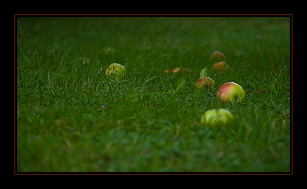 Die (geschmacklich) guten seiten des Herbstes