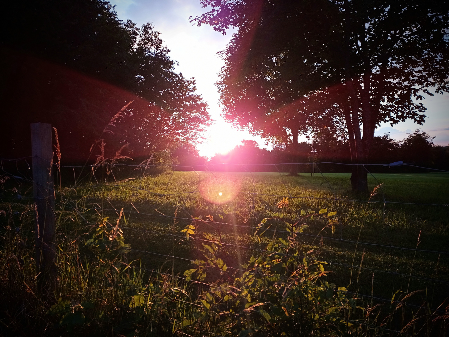 "... die gespiegelte Sonne ..."