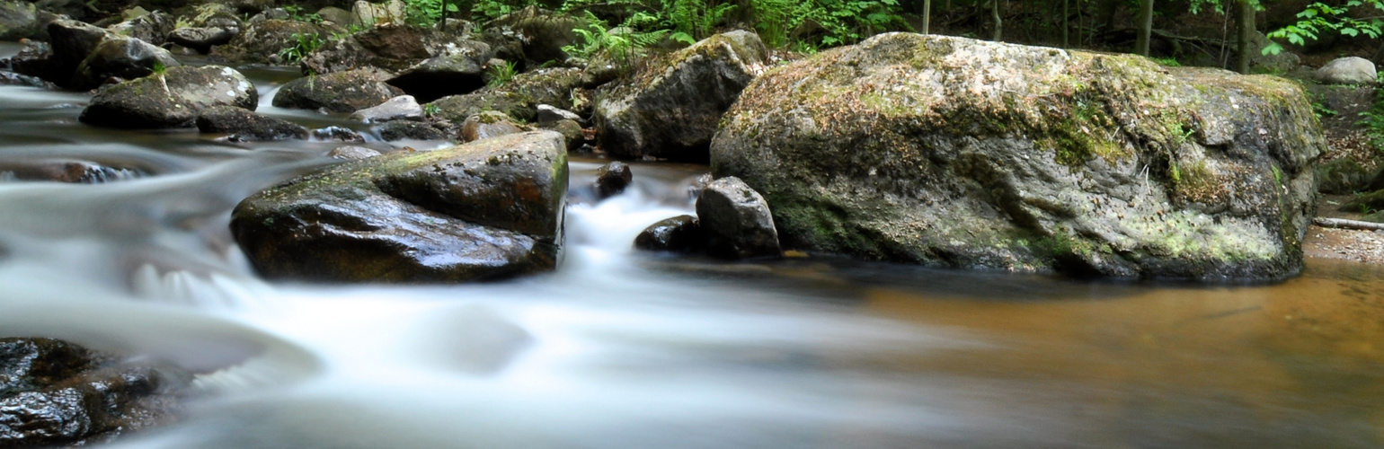 die Gestalt des Wassers