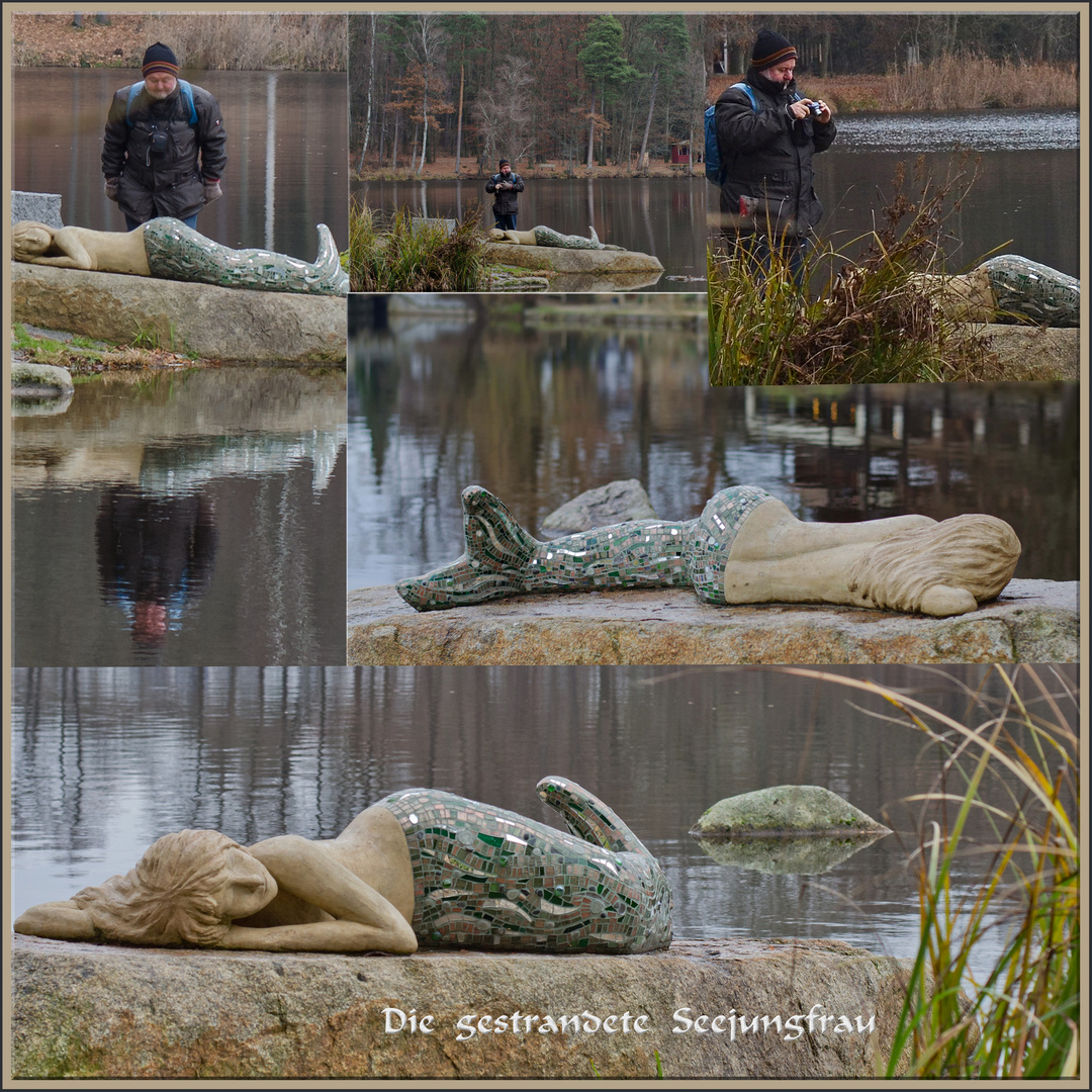 Die gestrandete Seejungfrau... Foto &amp; Bild | fotokunst, collagen ...