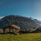 Die Gipfel weiss, Das Tal noch grün