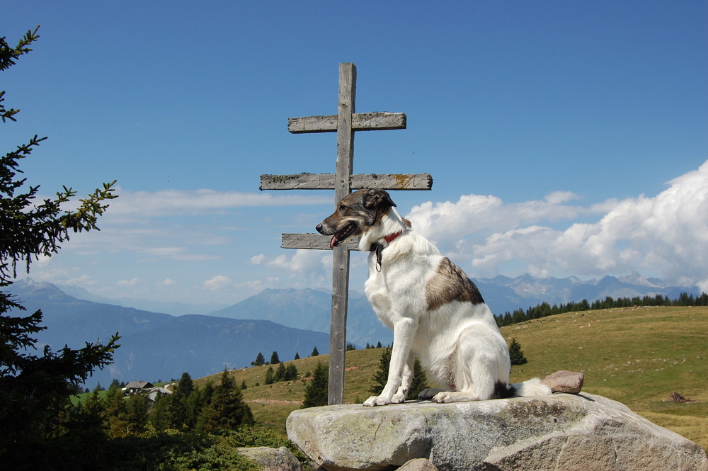 Die Gipfelstürmerin