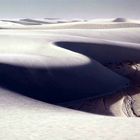 Die Gipsdünen von White Sands 2