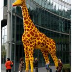 Die Giraffe und wir