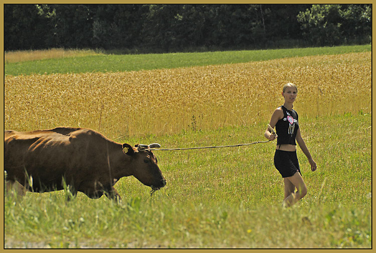 Die Glamour-landliche Variante1