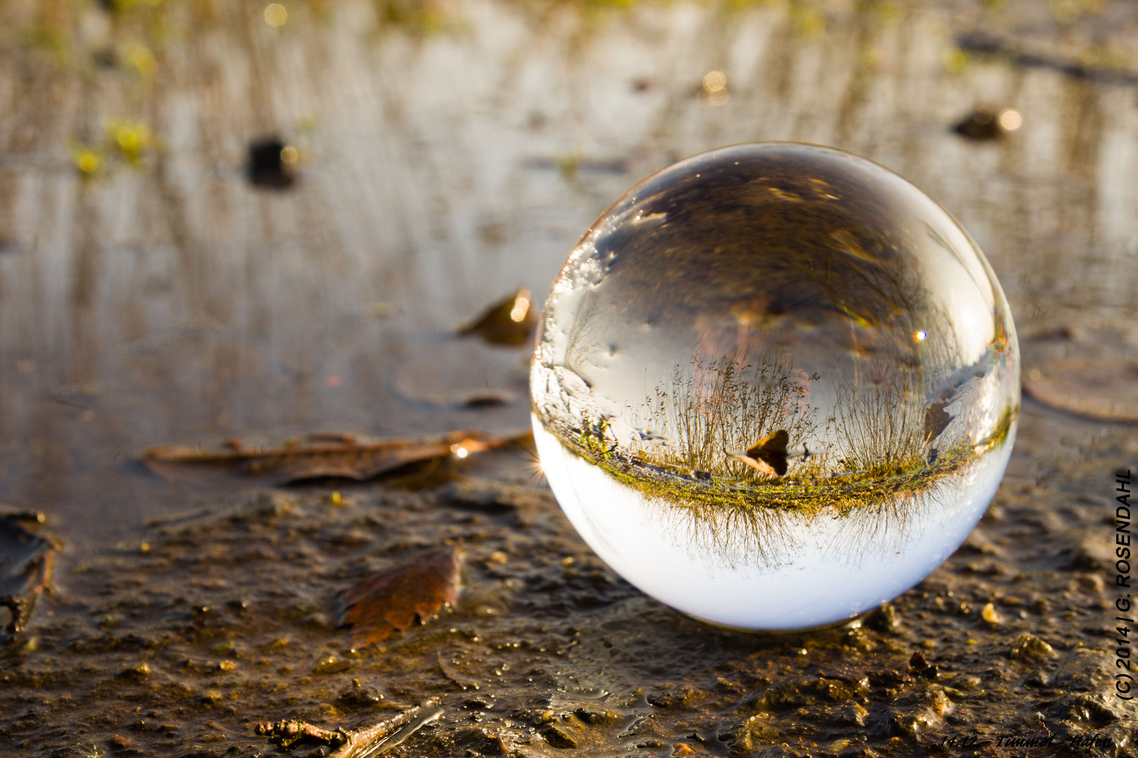 Die Glaskugel am Timmler Meer